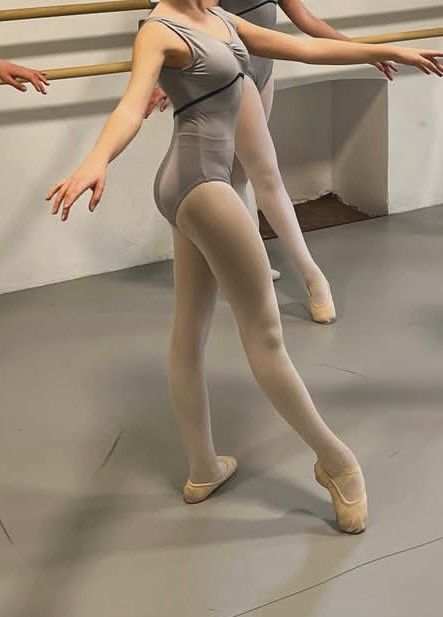 Body grigio Corso dal 1* al 4*